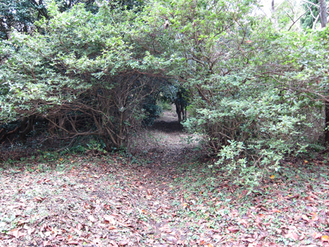 20191024hike (33)